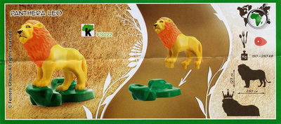 lion