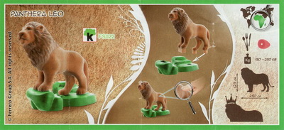lion