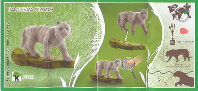 tigre