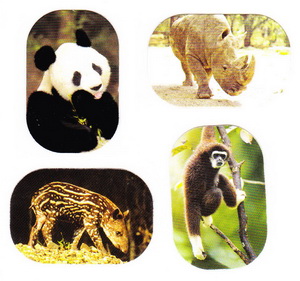 animaux
