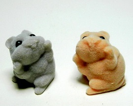 hamster