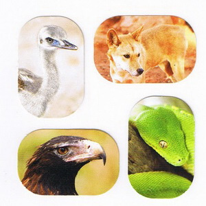 animaux