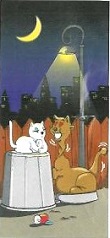 chat