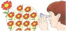 kaleidoscope