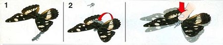 papillon