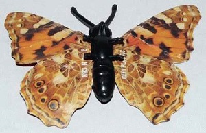 papillon