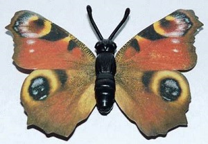 papillon