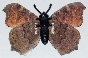 papillon