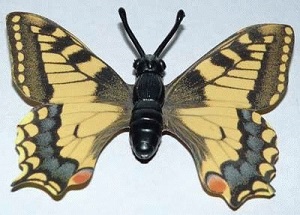 papillon