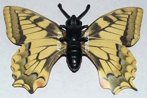 papillon