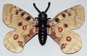papillon