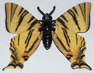 papillon