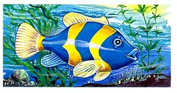 poisson