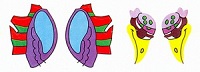 oiseau