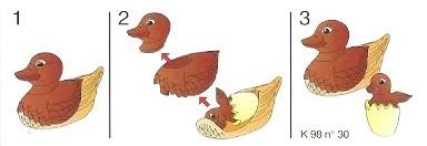 canard