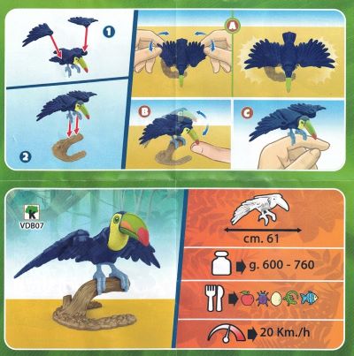 toucan