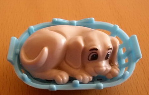 chien