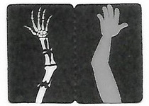 schtroumpfs