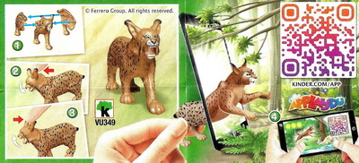 lynx