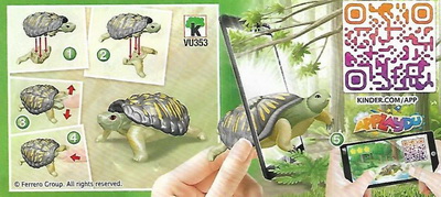 tortue