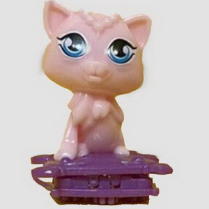 chat