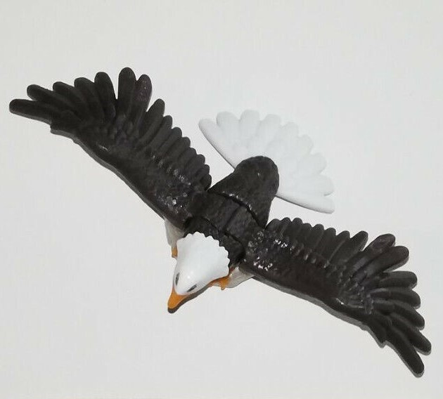 aigle