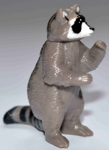 raton
